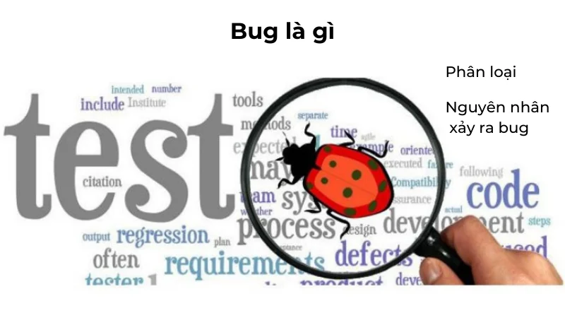 Bug là gì? 5 loại bug thường gặp, nguyên nhân phát sinh.